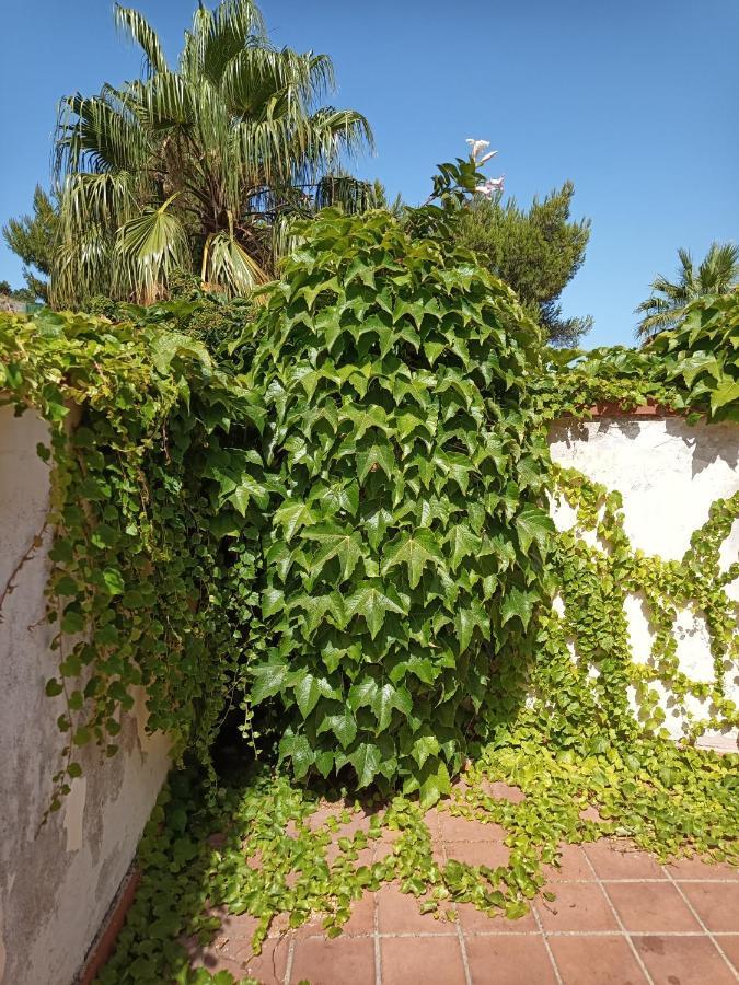 Villa Grande Messina Luaran gambar